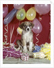 1960s Puppy Dog Balloons Party And Colorful Streamers by Anonymous