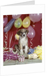 1960s Puppy Dog Balloons Party And Colorful Streamers by Anonymous