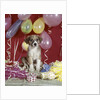 1960s Puppy Dog Balloons Party And Colorful Streamers by Anonymous