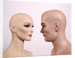Couple Man Woman Male Female Bald Mannequin Dummy Model by Anonymous