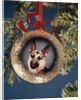 1960s 1970s Picture German Shepherd Dog On Christmas Tree Ornament by Anonymous