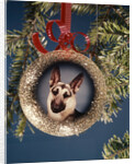 1960s 1970s Picture German Shepherd Dog On Christmas Tree Ornament by Anonymous