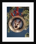 1960s 1970s Picture German Shepherd Dog On Christmas Tree Ornament by Anonymous