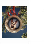 1960s 1970s Picture German Shepherd Dog On Christmas Tree Ornament by Anonymous
