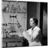 1930s 1940s Woman Scientist In Lab Coat Holding Up And Examining Beaker Of Liquid by Anonymous