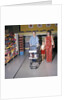 1970s Two Women Small Girl Walking Down Supermarket Grocery Store Aisle Woman Pushing Cart by Anonymous