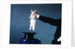 Hand Of Magician Pulling White Rabbit Out Of Black Silk Top Hat by Anonymous