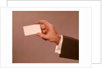 1960s 1970s Man Hand Holding Blank Business Card by Anonymous