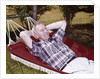 1960s Older Man Lying In Hammock In Backyard Retired Lifestyle Leisure by Anonymous