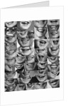 1960s 1970s Montage Of Mouths Of All Sexes And Ages by Anonymous
