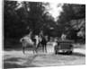 1920s 1930s Couple On Horses Meeting Woman On Road In Convertible Touring Car by Anonymous