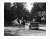 1920s 1930s Couple On Horses Meeting Woman On Road In Convertible Touring Car by Anonymous