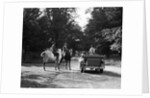 1920s 1930s Couple On Horses Meeting Woman On Road In Convertible Touring Car by Anonymous