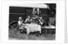 1930s Two Couples Eating Picnic Lunch Beside Camping Trailer by Anonymous