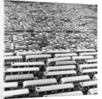 1960s Aerial Of Crowded Stadium Parking Lot With Separate Sections For Buses and Cars by Corbis