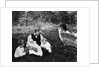 1890s 1900s Father Sitting In Woods With Three Children Baby Carriage Off To Side by Corbis