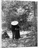 1900 View Of Back Of Couple Walking Through Woods Under Umbrella Man With Arm Around Woman by Anonymous