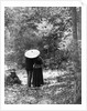 1900 View Of Back Of Couple Walking Through Woods Under Umbrella Man With Arm Around Woman by Anonymous