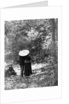 1900 View Of Back Of Couple Walking Through Woods Under Umbrella Man With Arm Around Woman by Anonymous