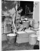 1930s Woman Farm Wife Sitting Outside Of Hen House Doorway Putting Eggs From Pails Into Shipping Crates by Anonymous