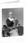 1930s Elderly Woman Wearing Pince-Nez Glasses Sitting Knitting by Anonymous