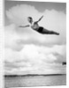 1930s Man Swan Diving From High Diving Board Outdoor by Corbis