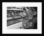 1950s Woman Shopping Frozen Food Section Of Grocery Store by Anonymous