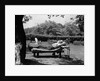 1950s Elderly Man In Backyard Stretched Out On Lounge Chair Under Tree by Anonymous