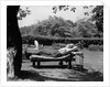 1950s Elderly Man In Backyard Stretched Out On Lounge Chair Under Tree by Anonymous