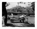 1950s Elderly Man In Backyard Stretched Out On Lounge Chair Under Tree by Anonymous