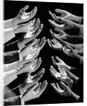 1960s Multiple Exposure Montage Male Hands Begging For A Hand Out by Anonymous