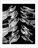 1960s Multiple Exposure Montage Male Hands Begging For A Hand Out by Anonymous