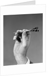 1960s 1970s Hand Close-Up Holding About To Throw A Sharp Pointed Dart by Anonymous