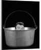 1950s 1960s Symbolic Montage Portrait Man In The Soup Looking Wide Eyed From Inside The Kettle by Anonymous