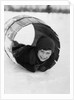 1920s Boy Playing Lying In Snow Rolling In Wooden Barrel by Anonymous