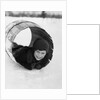 1920s Boy Playing Lying In Snow Rolling In Wooden Barrel by Anonymous