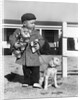 1940s Boy With Puppy On Leash Holding Christmas Present by Anonymous