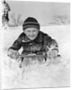 1940s Boy On Sled In Snow Facing Camera Hands And Jacket Covered In Snow by Anonymous