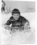 1940s Boy On Sled In Snow Facing Camera Hands And Jacket Covered In Snow by Anonymous