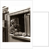 1920s 1930s 1940s Railroad Train Engineer Looking Out Window Of Locomotive Cab Driving The Steam Engine by Anonymous