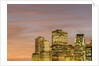 Skyscrapers in Lower Manhattan Skyline by Anonymous