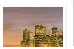 Skyscrapers in Lower Manhattan Skyline by Anonymous
