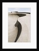 Skate Park by Anonymous