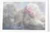 Japanese Macaque Grooming Another in Hot Spring by Anonymous