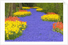 Flowers at Keukenhof Garden by Anonymous