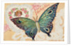 Be My Valentine Postcard with Butterfly by Anonymous