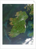 Island of Ireland by Anonymous
