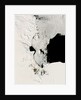 Sea Ice in Summer in the Ross Sea by Anonymous