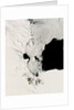 Sea Ice in Summer in the Ross Sea by Anonymous