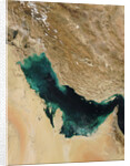 Persian Gulf by Anonymous